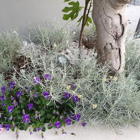 Villa Flores Kavran المظهر الخارجي الصورة