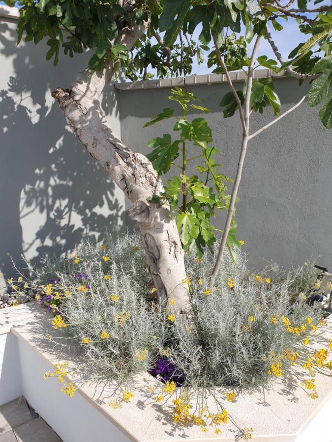 Villa Flores Kavran المظهر الخارجي الصورة